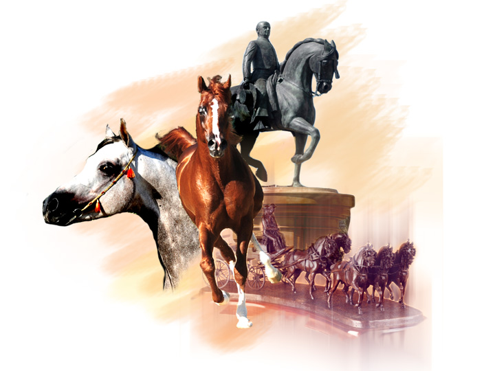 Nicolás Domecq Ybarra