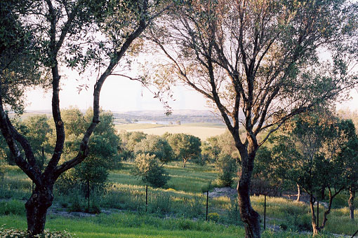 Monumento a Álvaro Domecq en la avenida del mismo nombre
